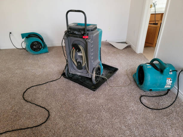 Trusted Salem, OR Water damage restoration Experts