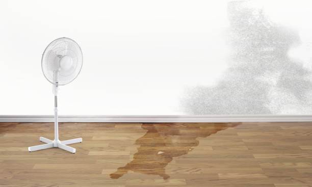 Best Water damage restoration mold remediation  in Salem, OR