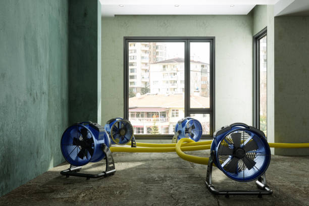 Best Water damage contractors near me  in Salem, OR