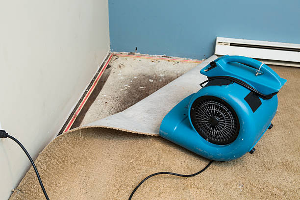 Best Water damage repair service  in Salem, OR